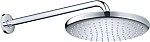 Grohe Douchekop Tempesta 26663000